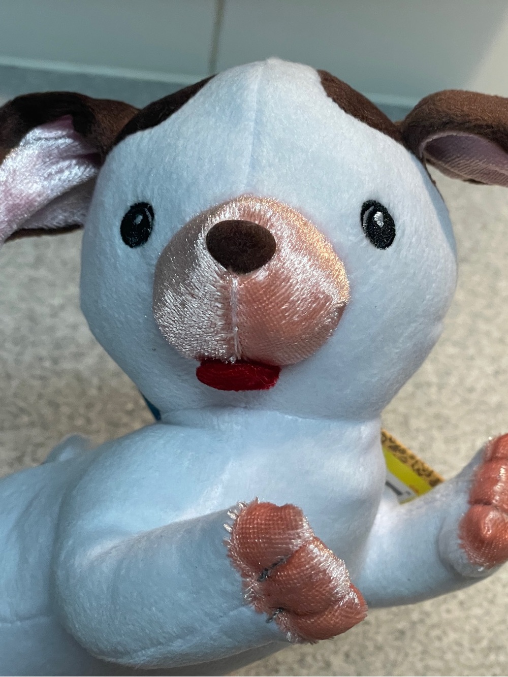 Plush Puppy Toy with Tiny Book